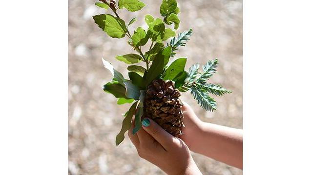 Read event detail: Guests on Indigenous Land: Opening night in the Sukkah with Rabbi Faryn Borella of Or Shalom