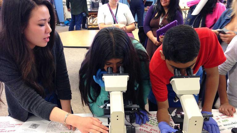 Students using a scientific microscope