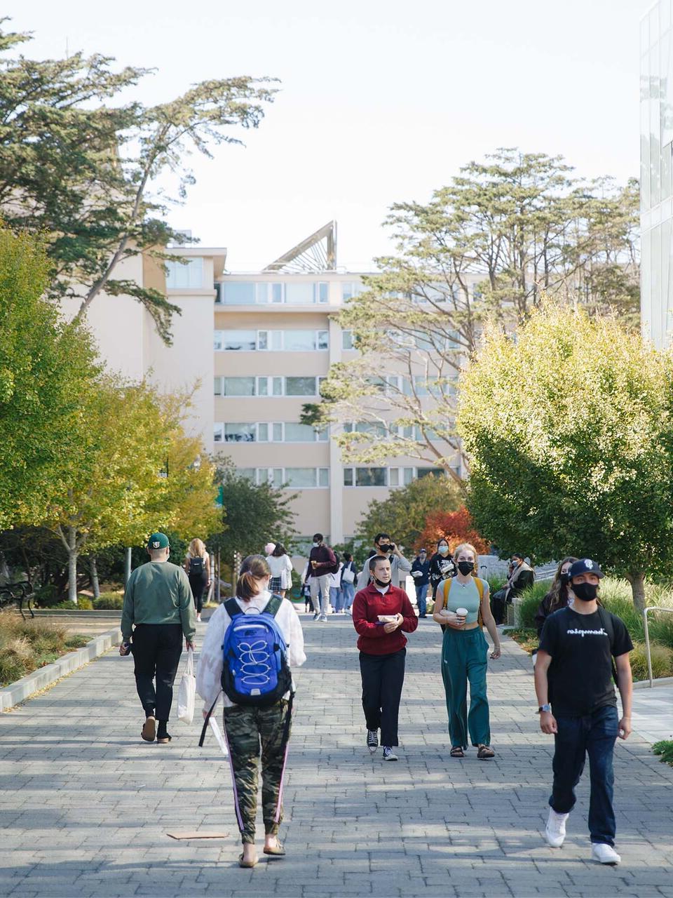 Students walk down a wide pathway through campus.